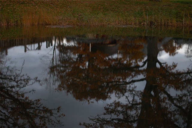 Loading Image